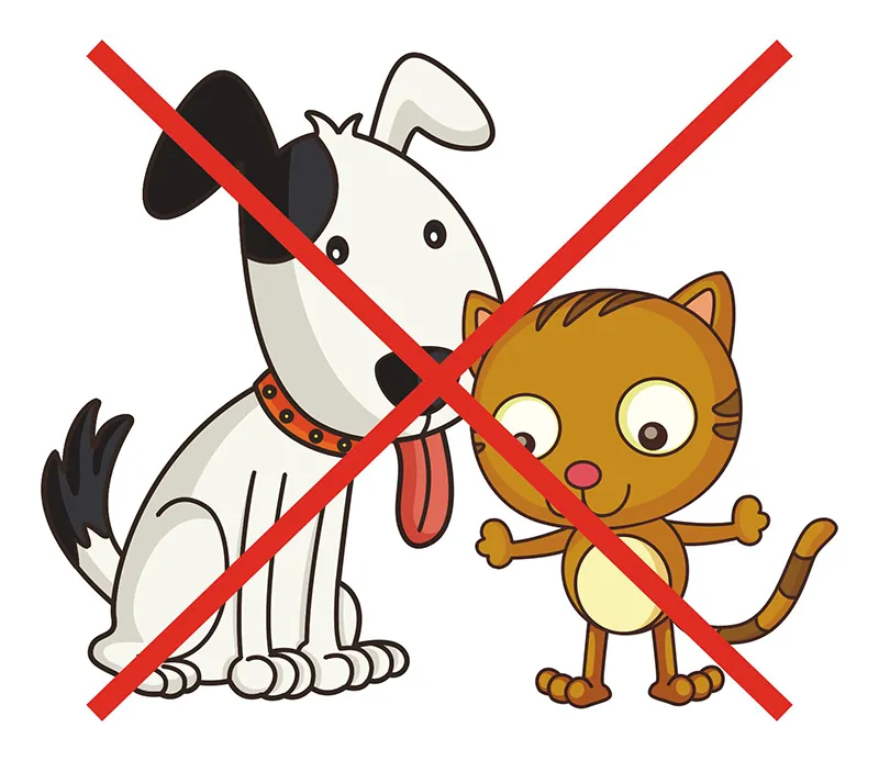 DSM_Spielplatz_Tiere